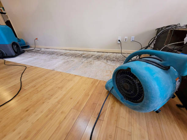 Professional Sewage Cleanup technician working in Grandview, TN